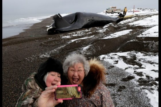 Alaska_Whale_Photo_Gallery_18A